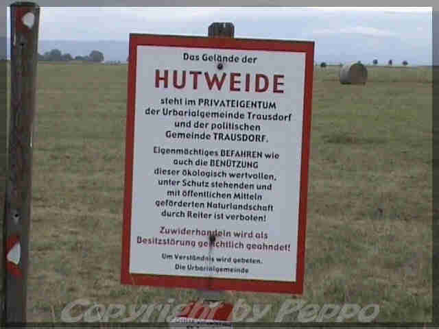 In der Hutweide