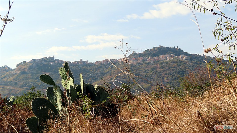 19a