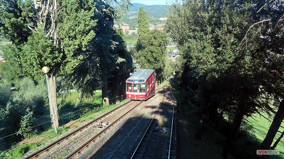 7zm