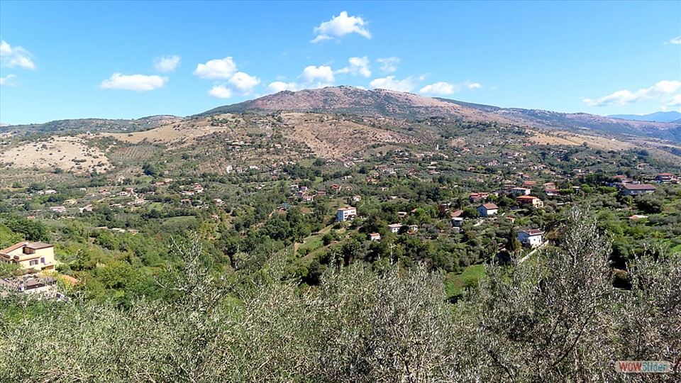 8h