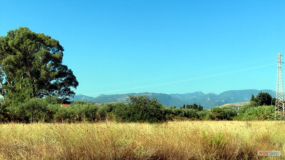 11a