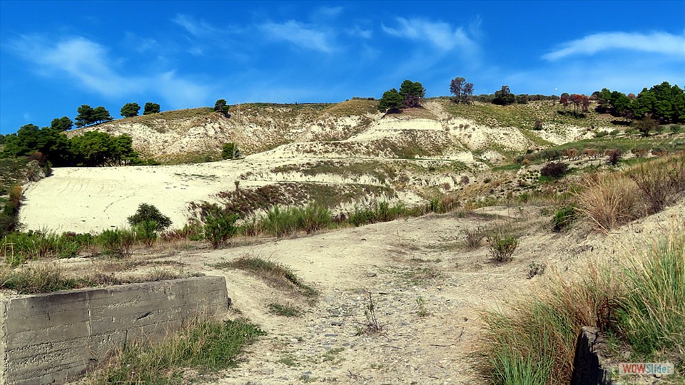 7b