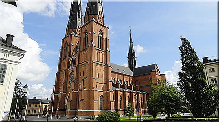 Zufallsbild