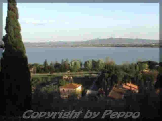 Blick auf den See