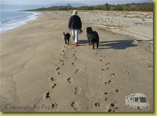 Strandspaziergang