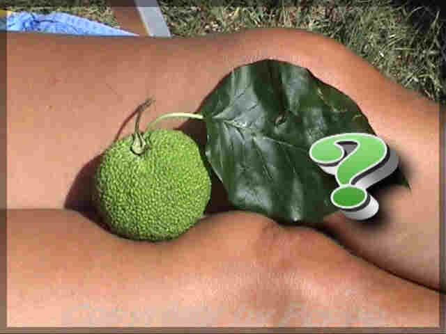 Was ist das?