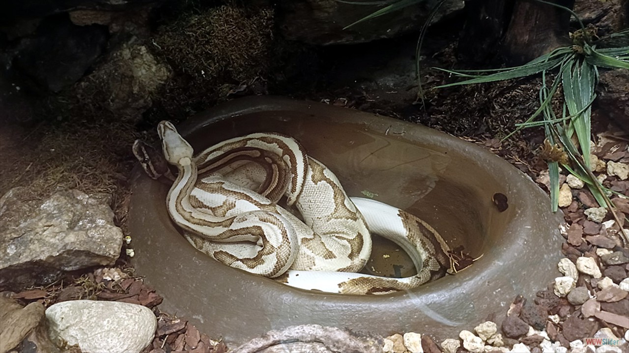 4f
