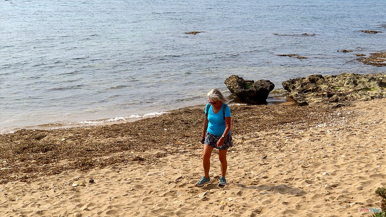 bootstrap carousel example